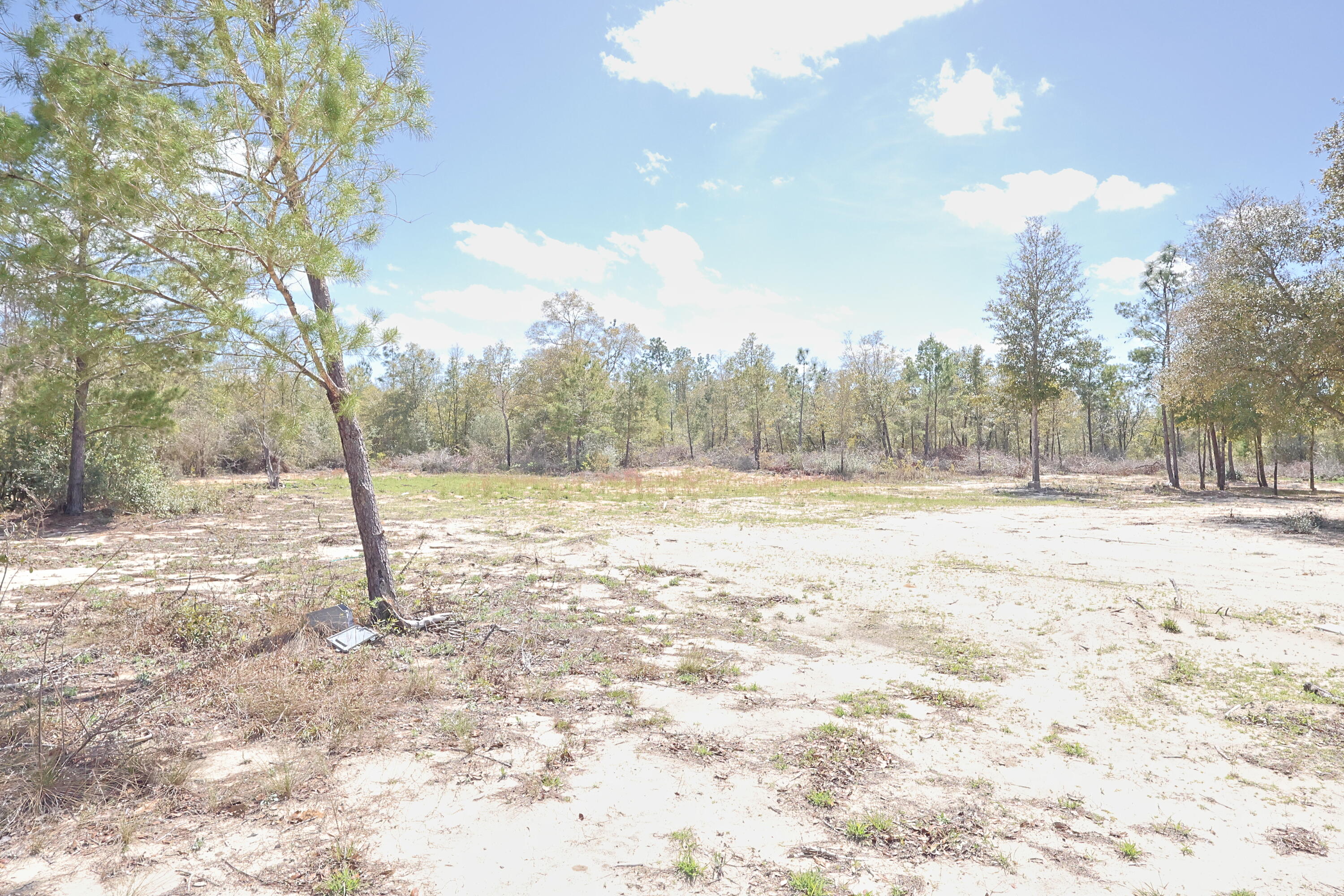 Tbd North Silver Lake Road Fountain, FL 32438 - Photo 8 of 9 a view of outdoor space with trees