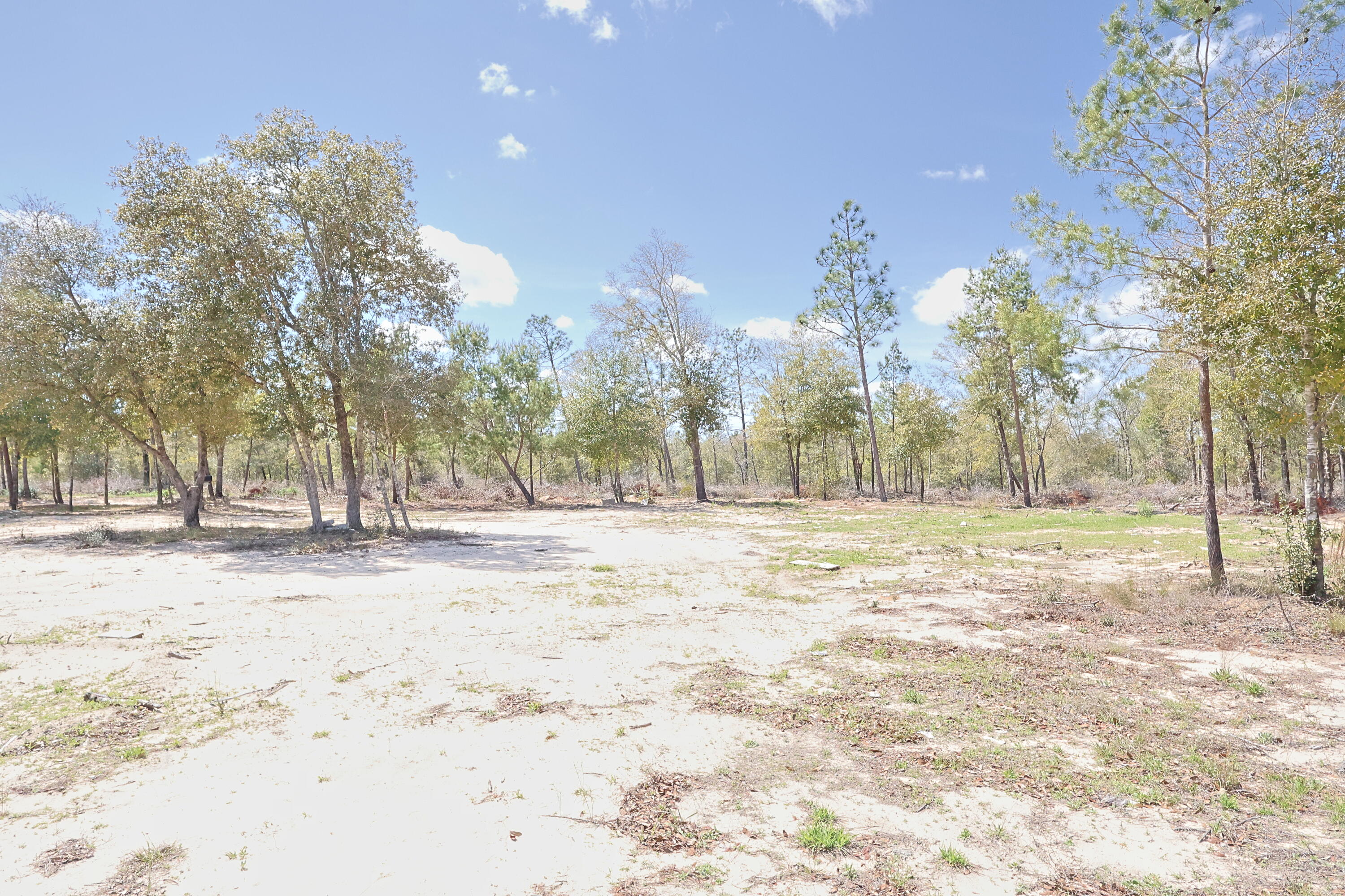 Tbd North Silver Lake Road Fountain, FL 32438 - Photo 9 of 9 a view of yard covered with snow in yard
