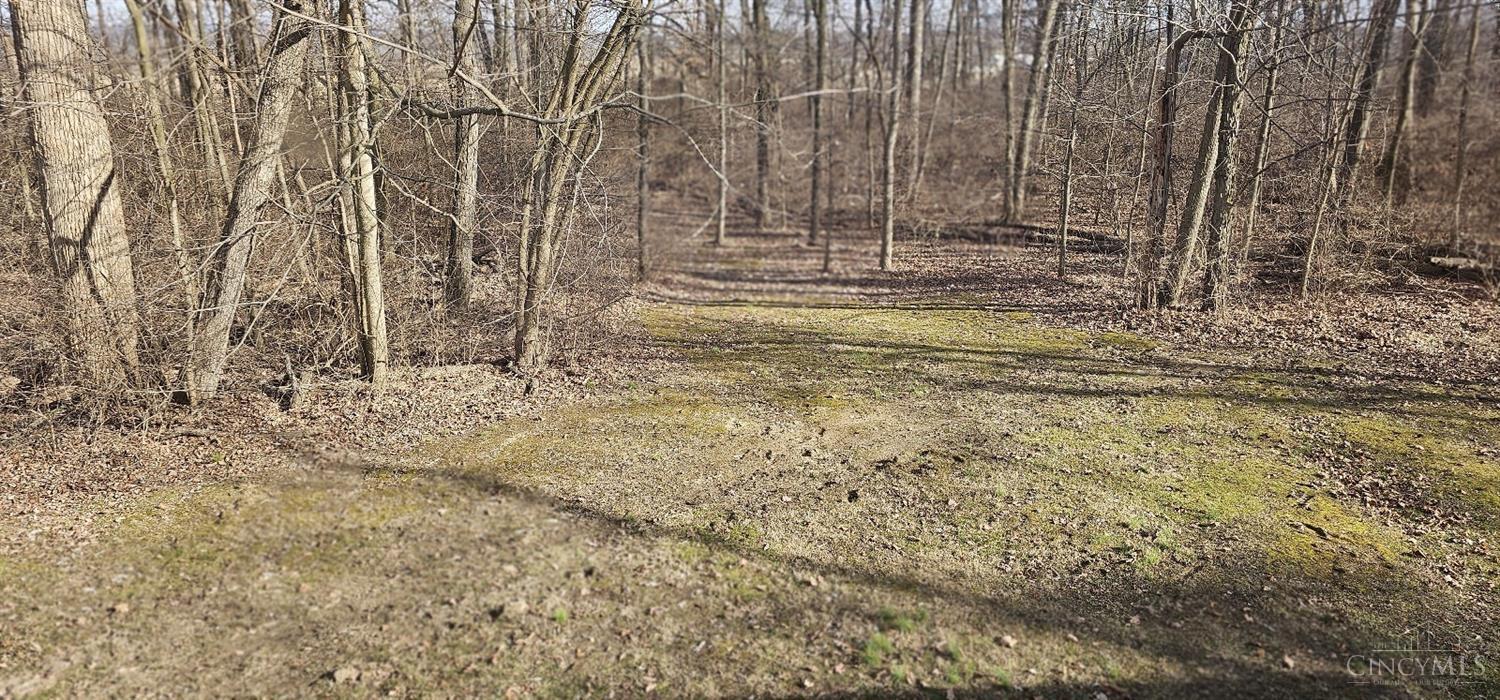 1570 Morgan Ross Road Hamilton, OH 45013 - Photo 3 of 50 Gallery Image 3