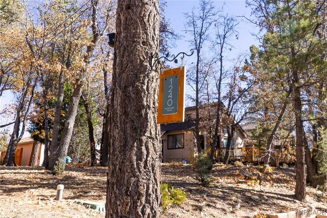a view of a park with trees