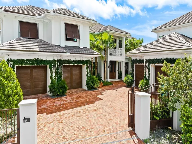 a view of a plants with potted plants