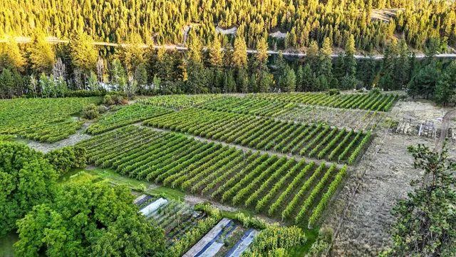 $1,875,000 | 3752 Vineyard Way, Kettle Falls, WA 99141