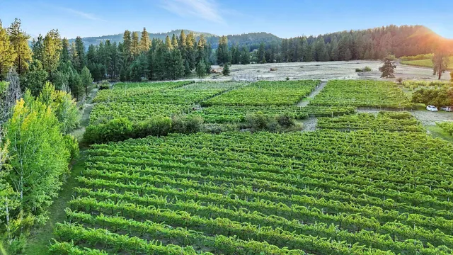 $1,875,000 | 3752 Vineyard Way, Kettle Falls, WA 99141