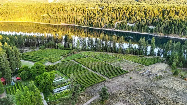 $1,875,000 | 3752 Vineyard Way, Kettle Falls, WA 99141