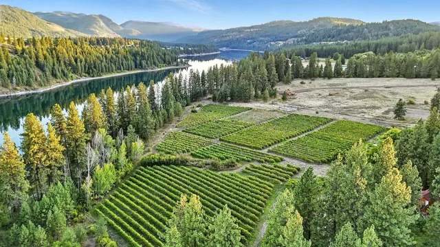 $1,875,000 | 3752 Vineyard Way, Kettle Falls, WA 99141