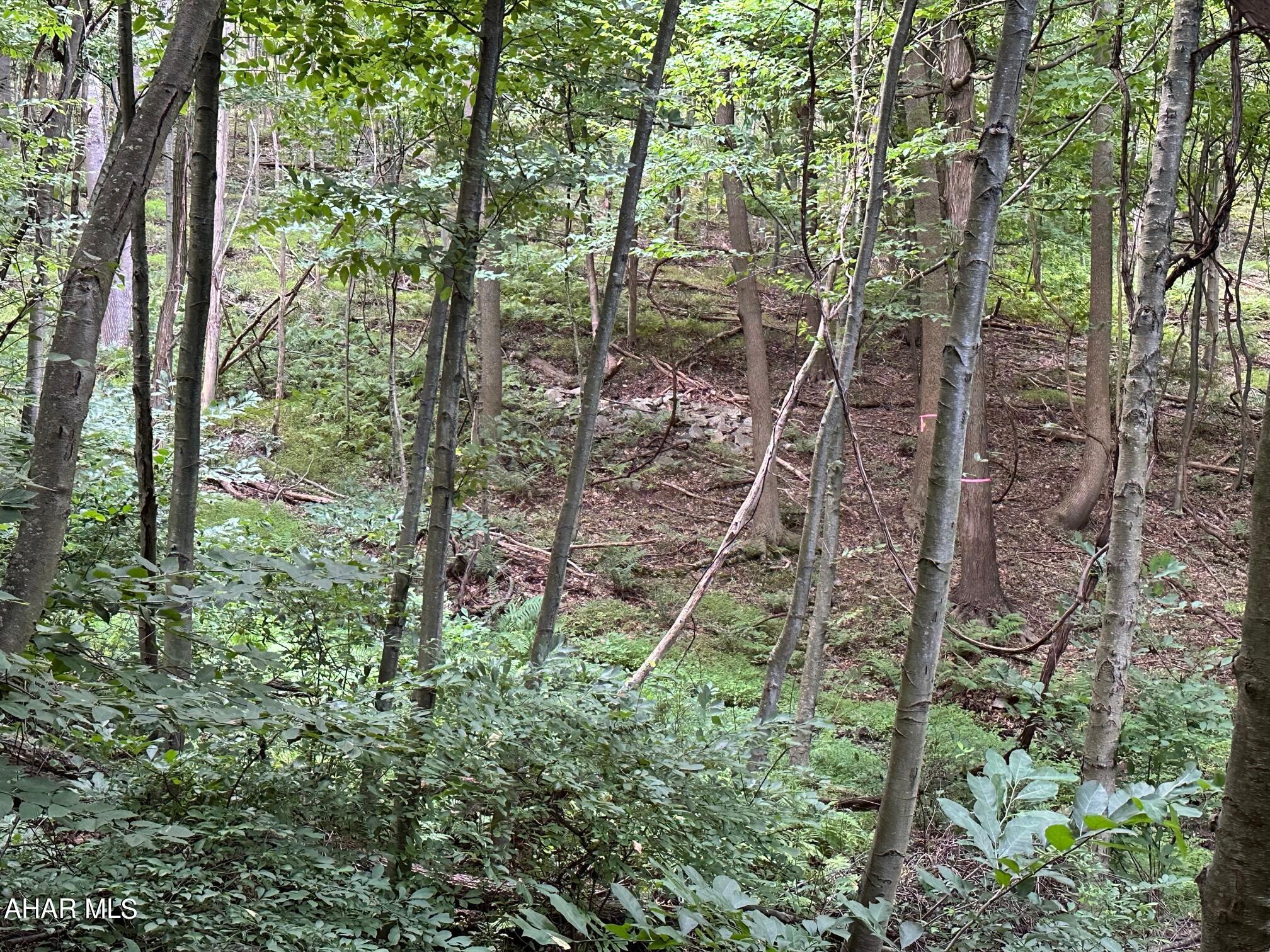Lot #1 Louks Road Bedford, PA 15522 - Photo 5 of 10 Gallery Image 5