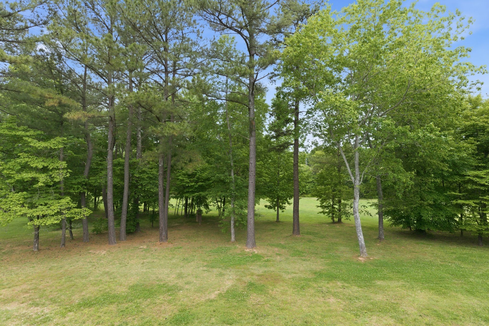 528 Country Club Drive Dickson, TN 37055 - Photo 49 of 55