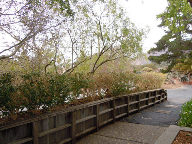 108 Rancho Road Carmel Valley, CA 93924 - Photo 14 of 15 Gallery Image 14