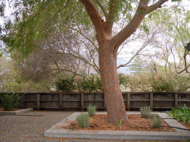 108 Rancho Road Carmel Valley, CA 93924 - Photo 15 of 15 Gallery Image 15