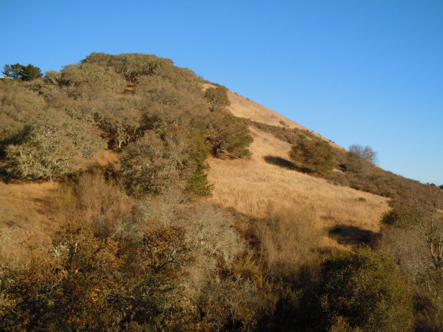 108 Rancho Road Carmel Valley, CA 93924 - Photo 9 of 15 Gallery Image 9