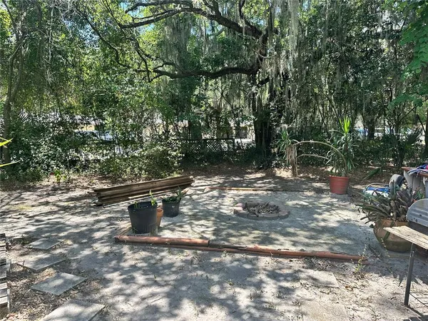 a view of a fire pit with large trees