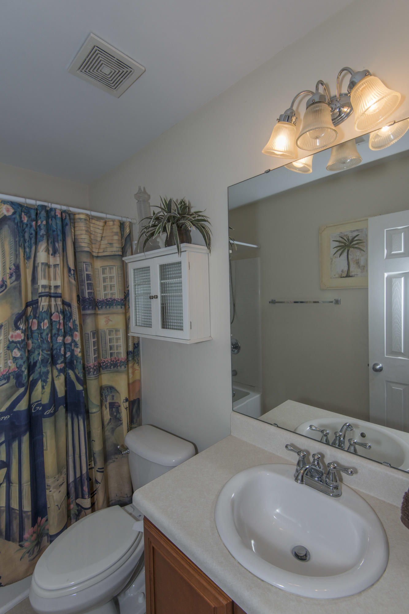 213 Island Green Road Goose Creek, SC 29445 - Photo 29 of 42 Hall Bathroom