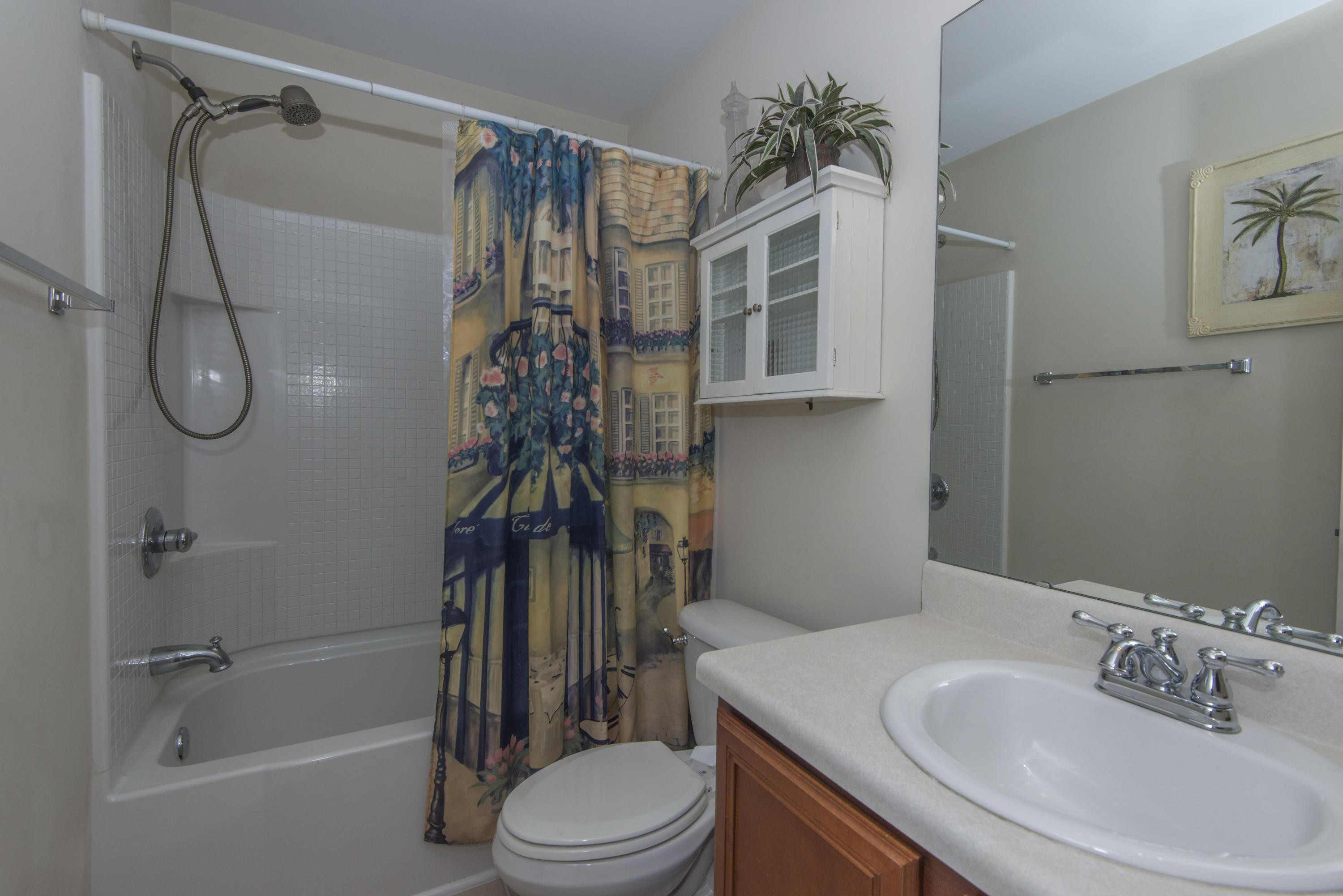 213 Island Green Road Goose Creek, SC 29445 - Photo 30 of 42 Hall Bathroom