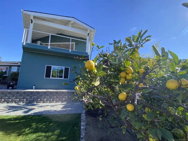 a plant is in front of a house
