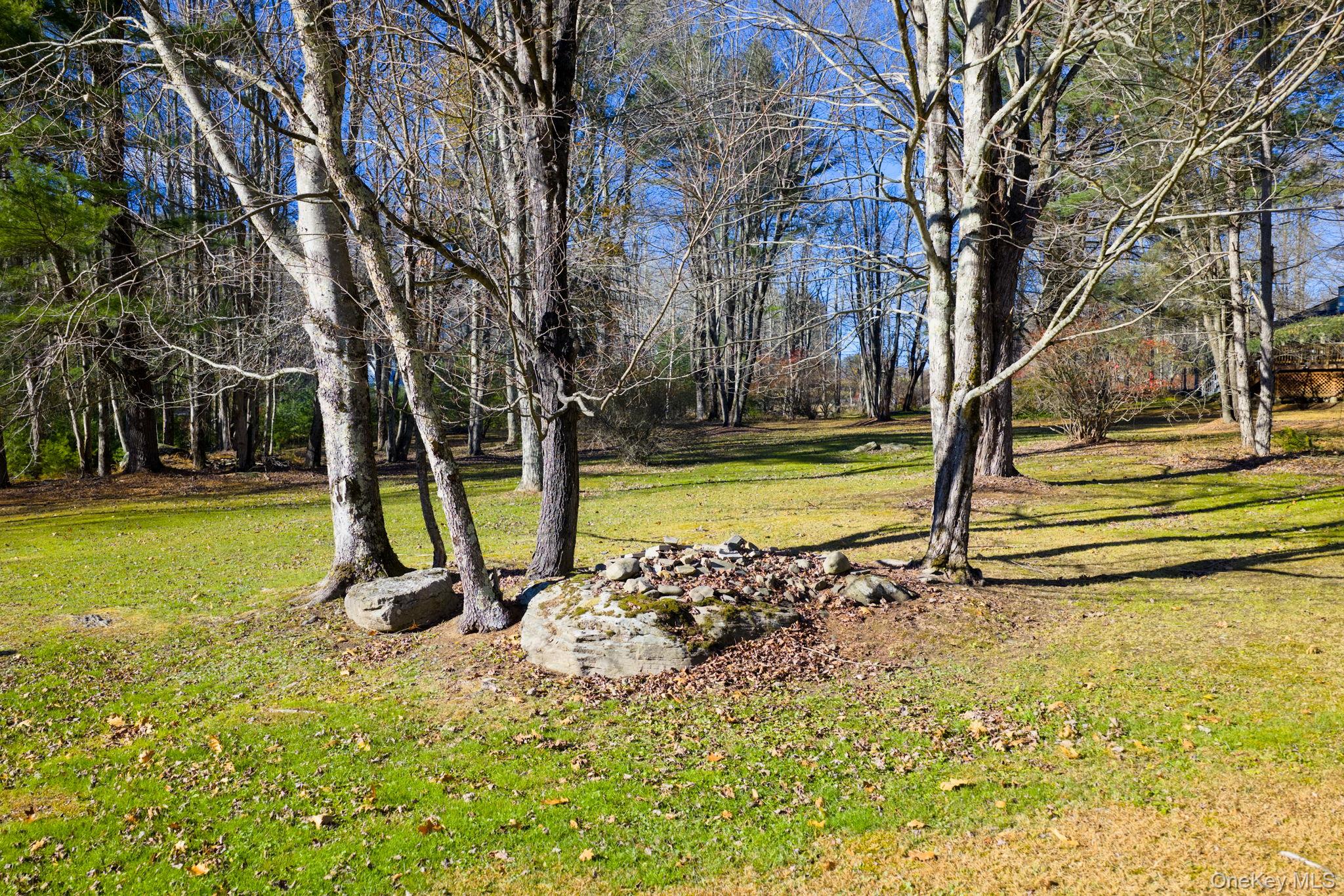 38 Rose Road Woodbourne, NY 12788 - Photo 24 of 35 a view of a yard with swimming pool