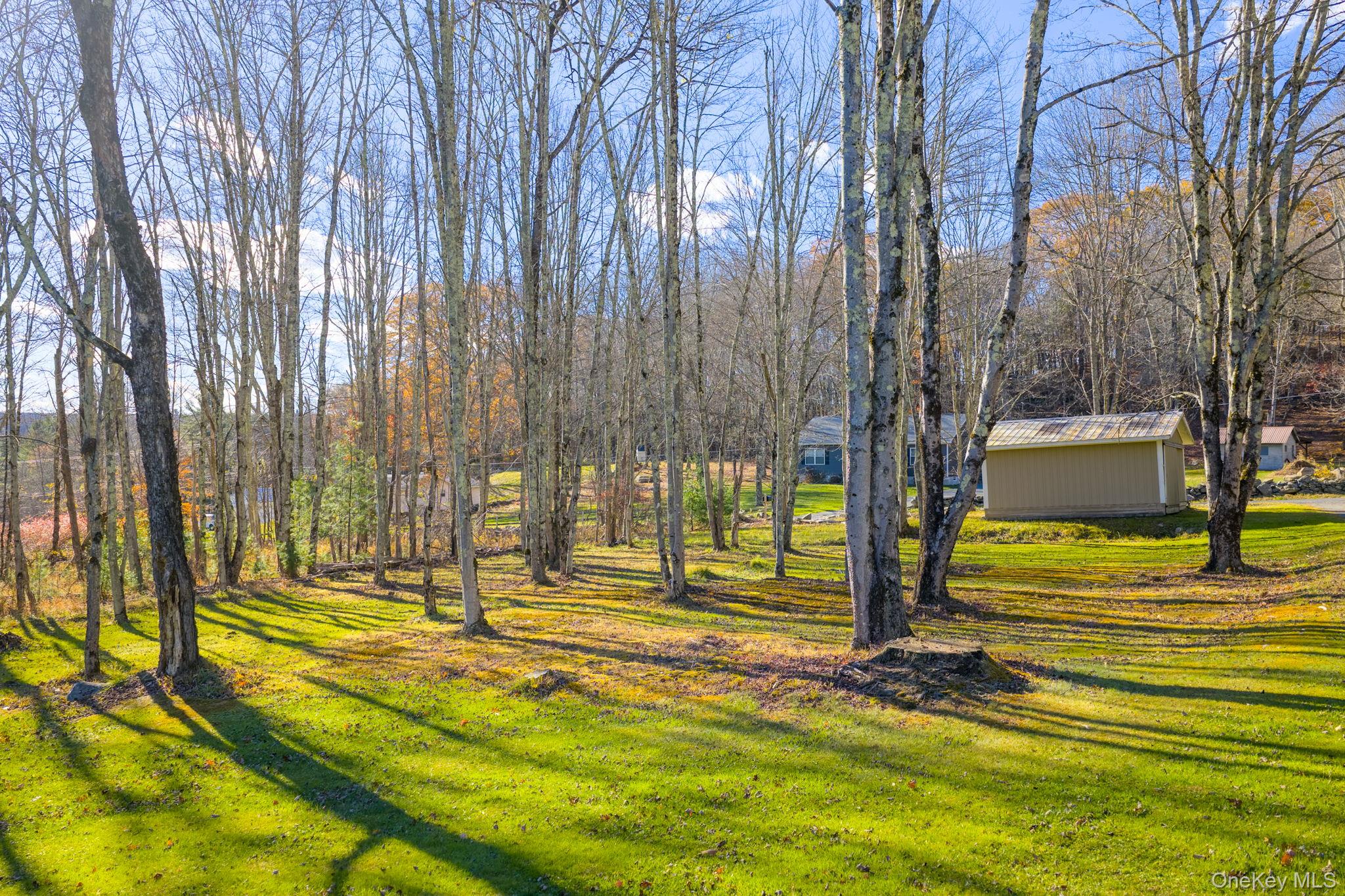 38 Rose Road Woodbourne, NY 12788 - Photo 25 of 35 a view of yard with tree