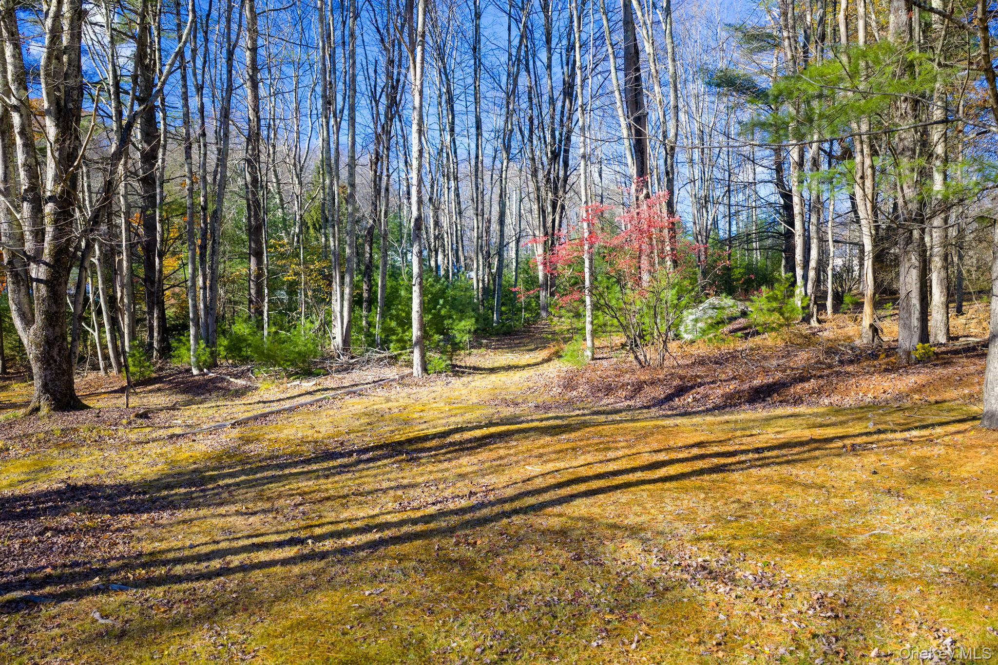 38 Rose Road Woodbourne, NY 12788 - Photo 30 of 35 a view of a volley ball court