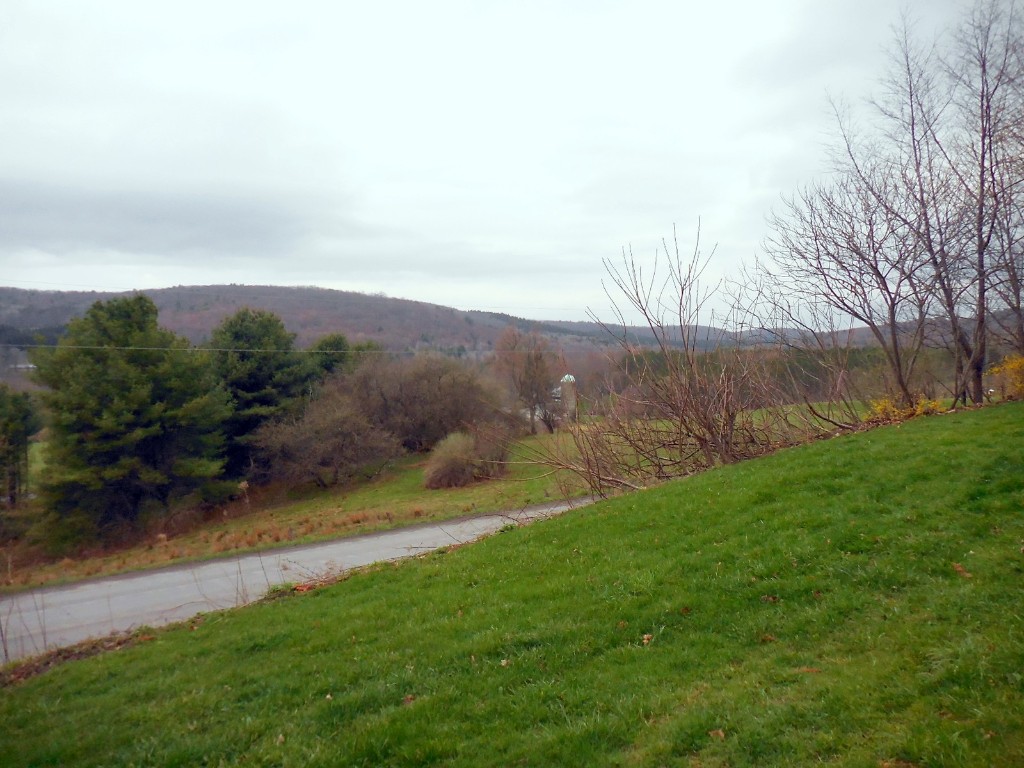 260 Philips Road Windsor, NY 13865 - Photo 28 of 30