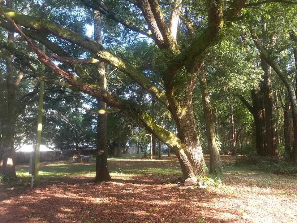 18688 Bull Springs Road Robertsdale, AL 36567 - Photo 6 of 20