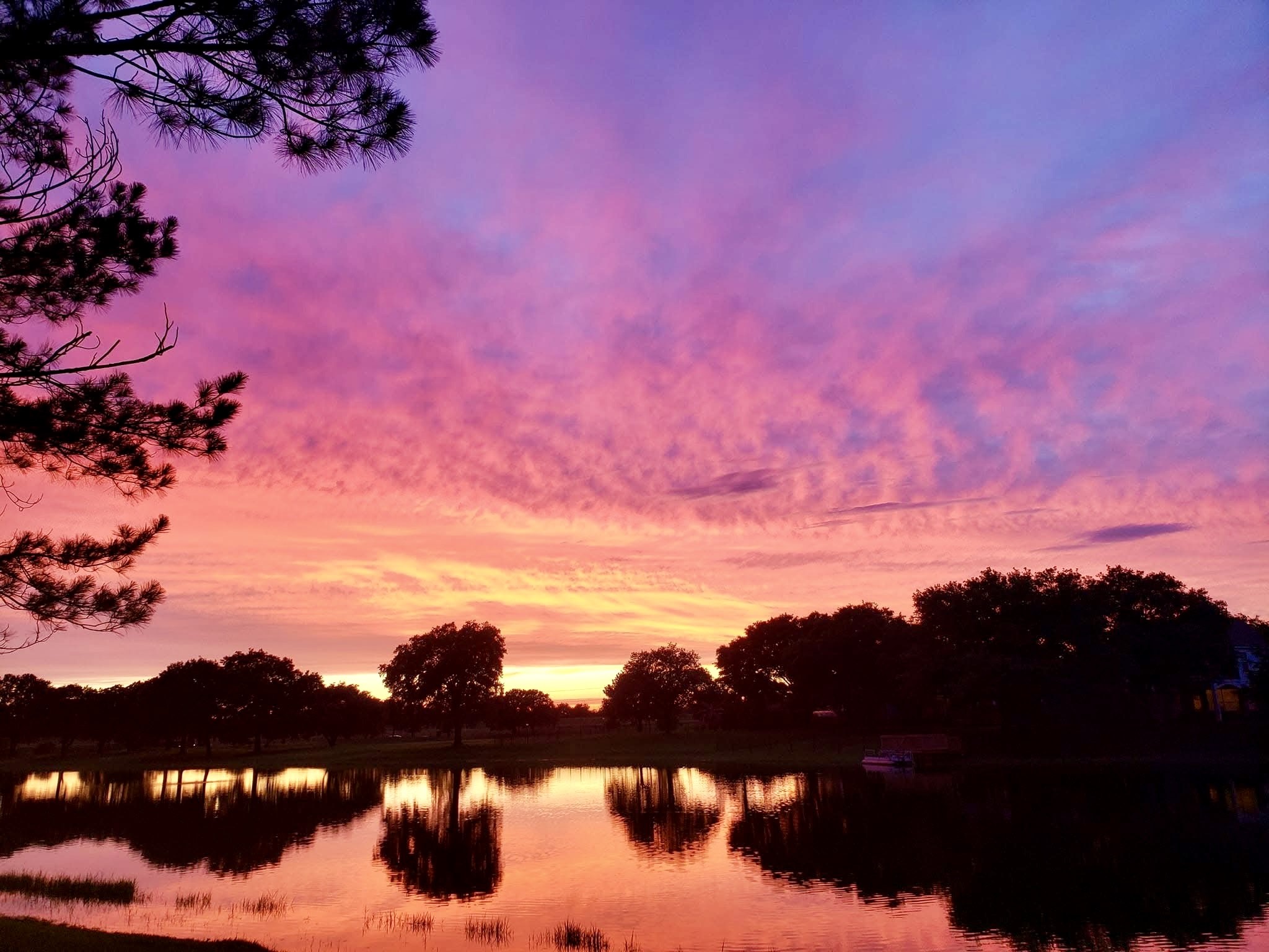 18 Crest Gate Houston, TX 77082 - Photo 40 of 46