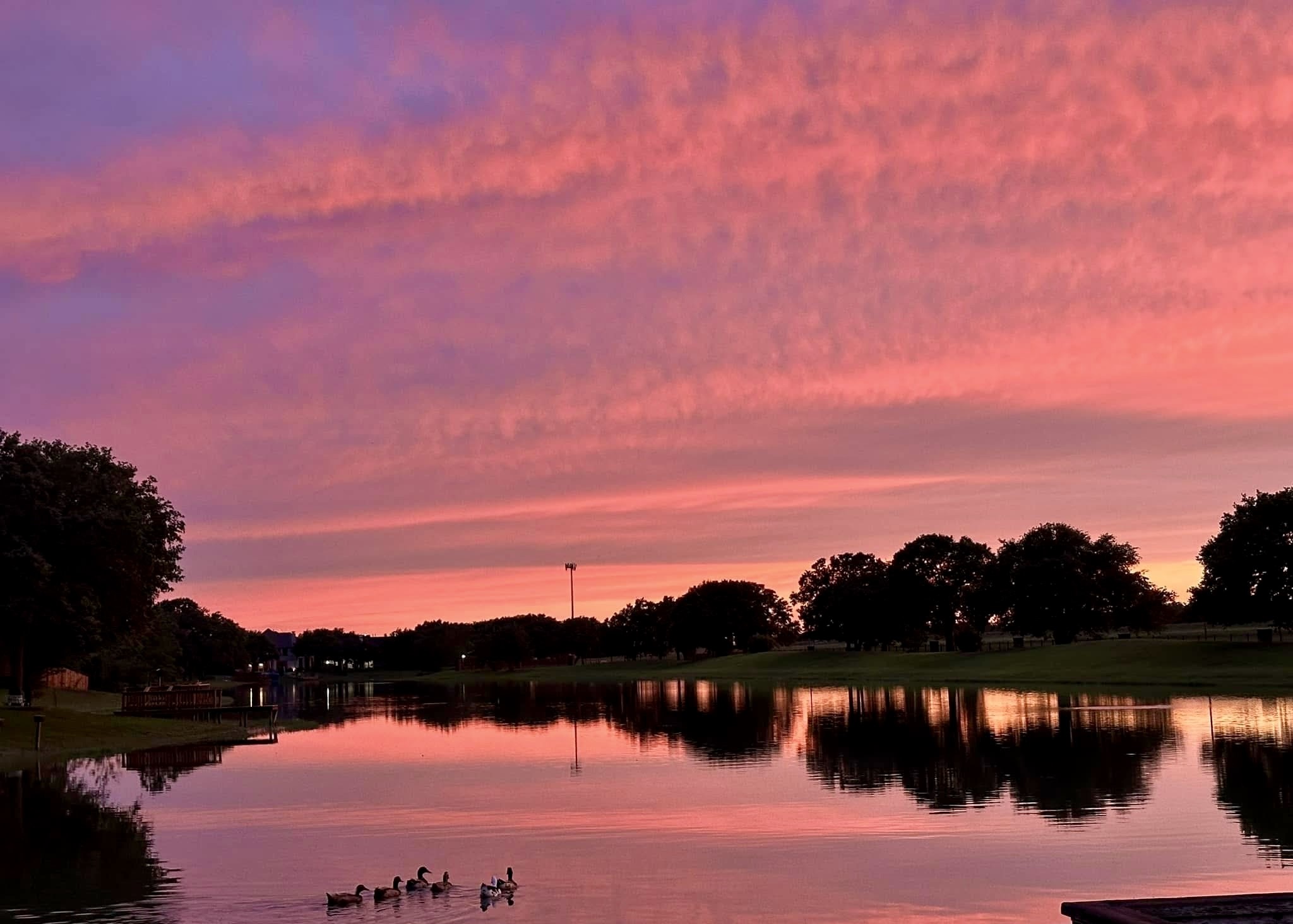 18 Crest Gate Houston, TX 77082 - Photo 46 of 46 a view of lake