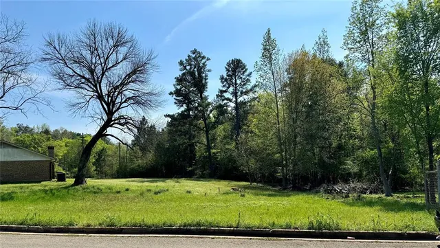 $19,000 | Tbd Fisher Drive, Marshall, TX 75670