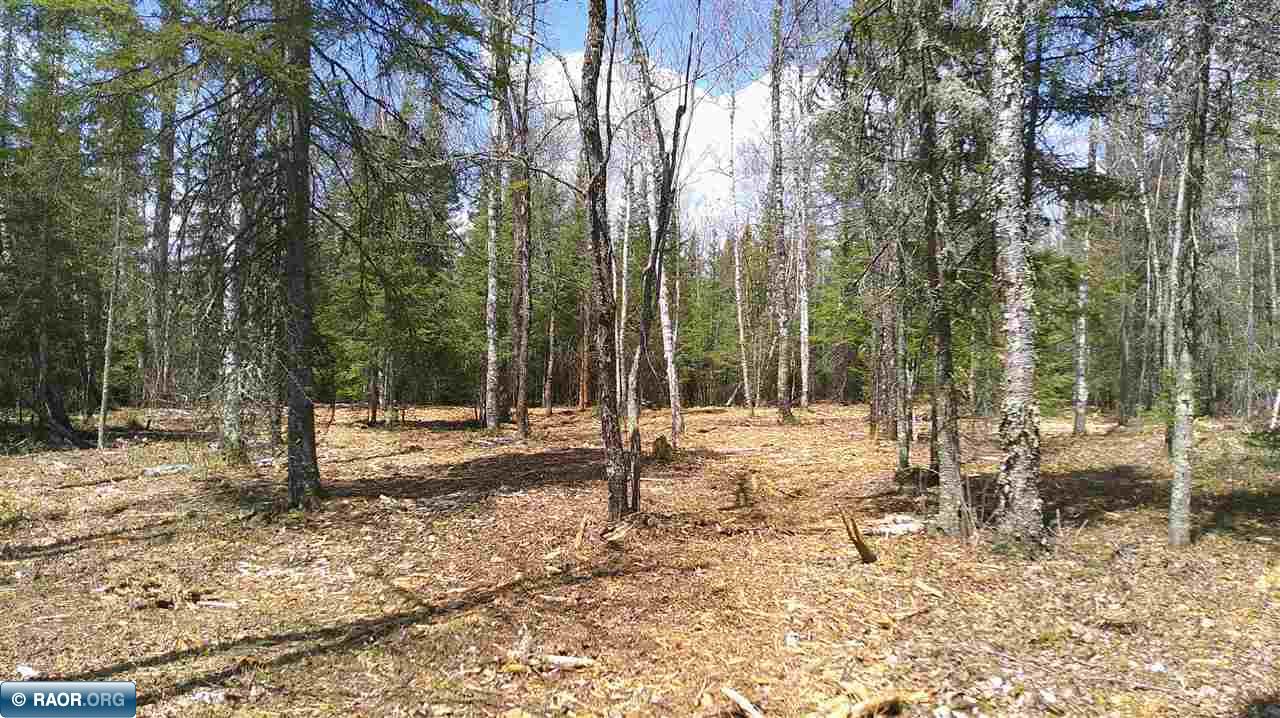 Tbd Parcel G Tbd Parcel G Frazer Bay Road Cook, MN 55723 - Photo 2 of 15