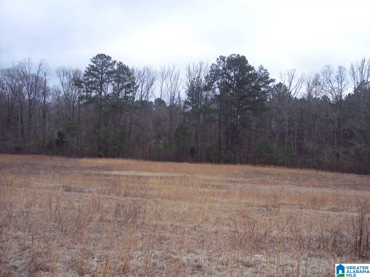 0 Big Oak Road Ohatchee, AL 36271 - Photo 3 of 7