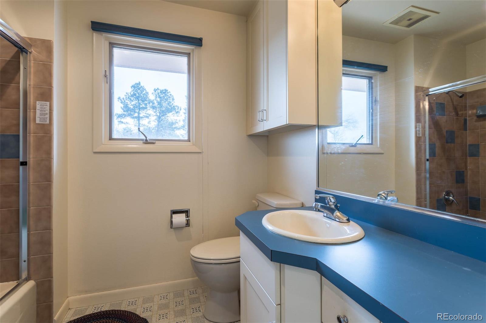 870 Willowbrook Road Boulder, CO 80302 - Photo 15 of 30 a bathroom with a sink a toilet and mirror
