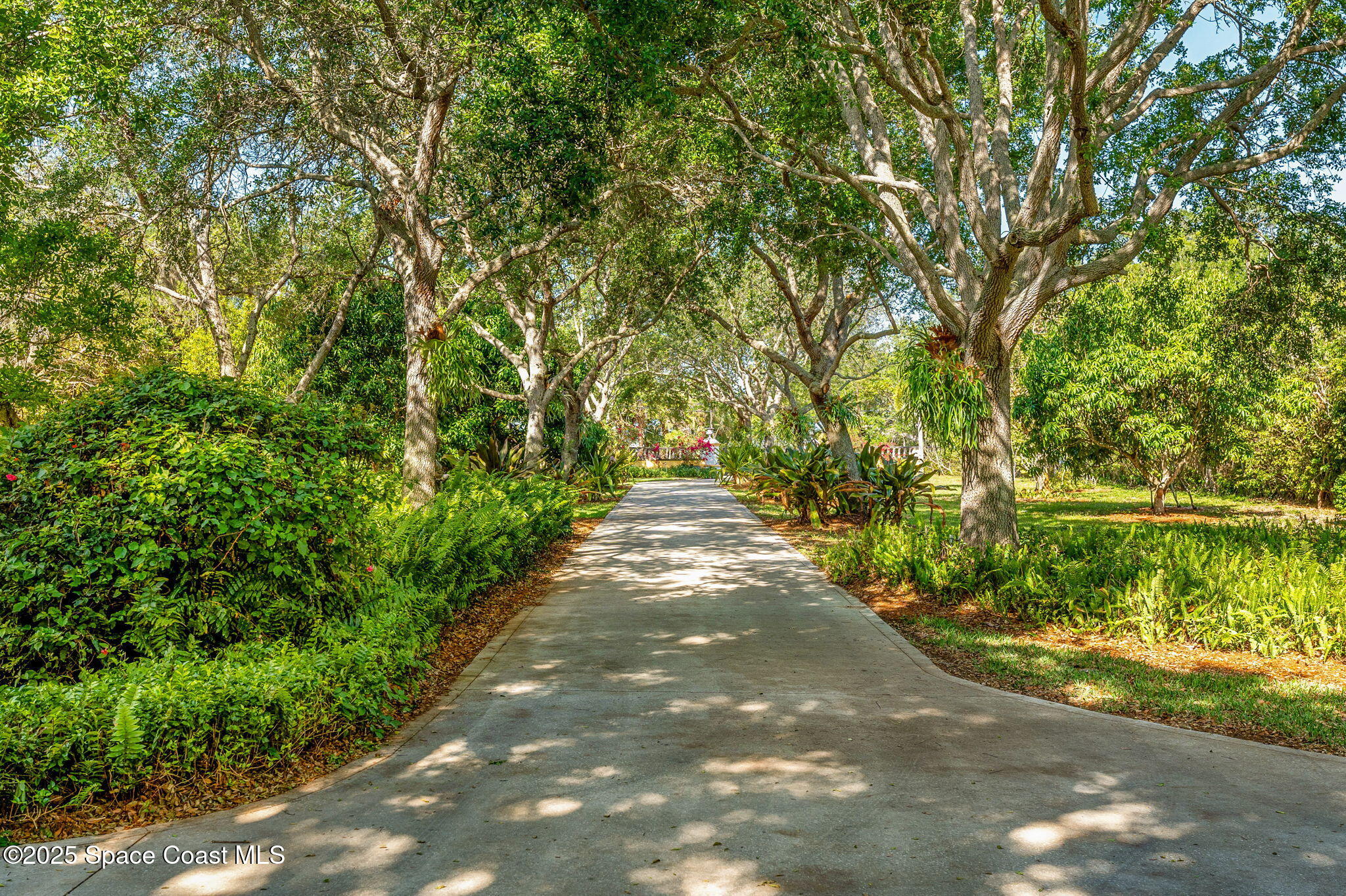 9340 South Tropical Trail Merritt Island, FL 32952 - Photo 15 of 100 a view of a pathway both side of yard