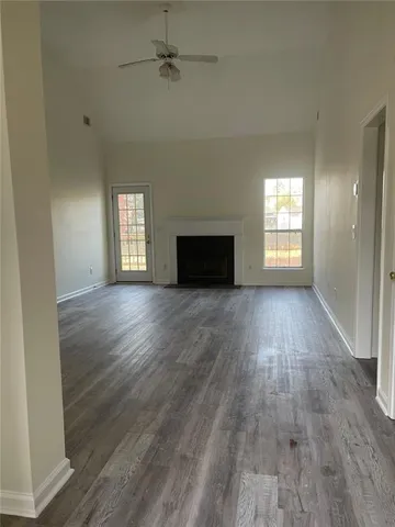 a view of a yard with a palm tree