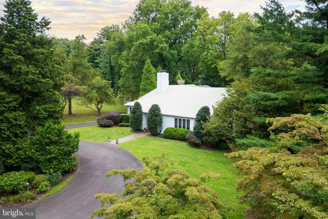 a view of backyard with green space