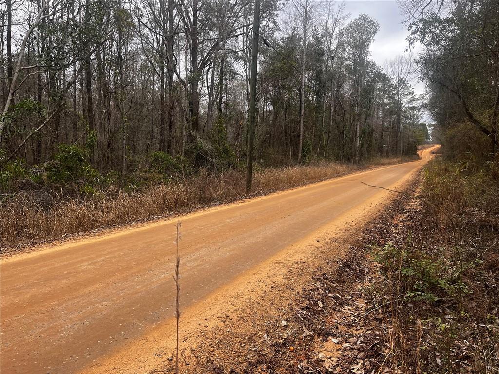View of dirt / gravel road