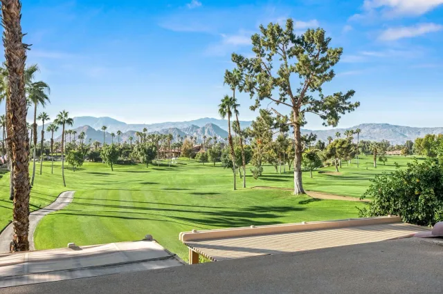 a grassy field with trees in the background