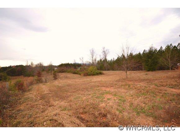 127 Tobacco Road Mill Spring, NC 28756 - Photo 1 of 5
