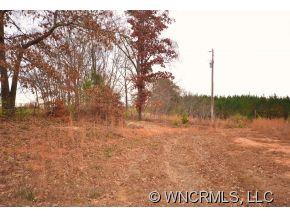 127 Tobacco Road Mill Spring, NC 28756 - Photo 3 of 5