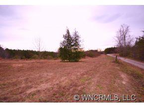 127 Tobacco Road Mill Spring, NC 28756 - Photo 4 of 5