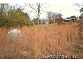 127 Tobacco Road Mill Spring, NC 28756 - Photo 5 of 5