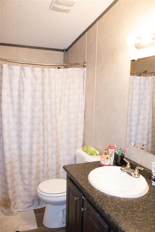 145 Firefly Drive Springtown, TX 76082 - Photo 11 of 16 a bathroom with a sink a toilet a mirror and shower curtain
