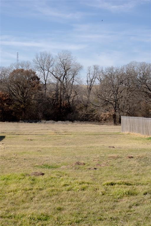 145 Firefly Drive Springtown, TX 76082 - Photo 6 of 16 a view of yard with ocean view