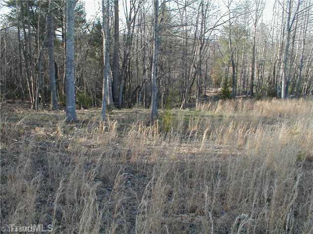 199 Regal Road State Road, NC 28676 - Photo 1 of 6 Land. Land is gently rolling with a distant view of the Blue Ridge Mountains