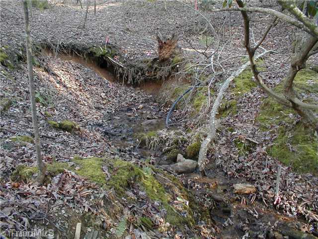 199 Regal Road State Road, NC 28676 - Photo 2 of 6 Land. A Spring