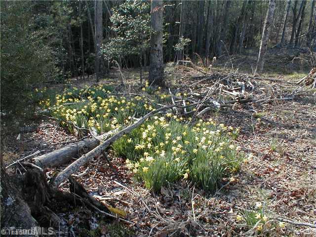199 Regal Road State Road, NC 28676 - Photo 3 of 6 Land.