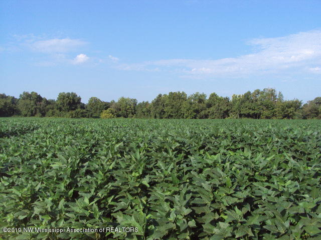 0 Baker Road Batesville, MS 38606 - Photo 1 of 13 DSC06924