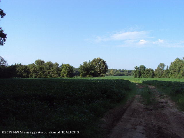 0 Baker Road Batesville, MS 38606 - Photo 11 of 13 DSC06919