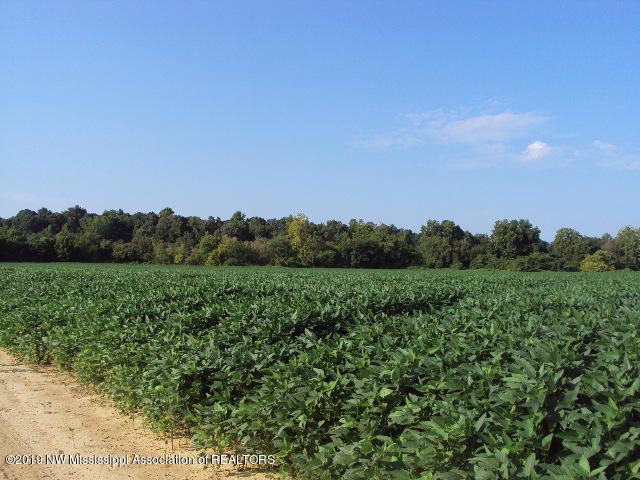 0 Baker Road Batesville, MS 38606 - Photo 12 of 13 DSC06925