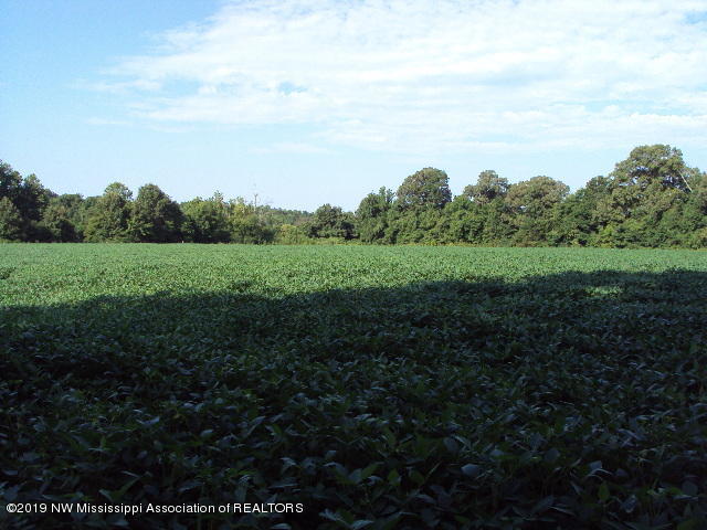 0 Baker Road Batesville, MS 38606 - Photo 13 of 13 DSC06931