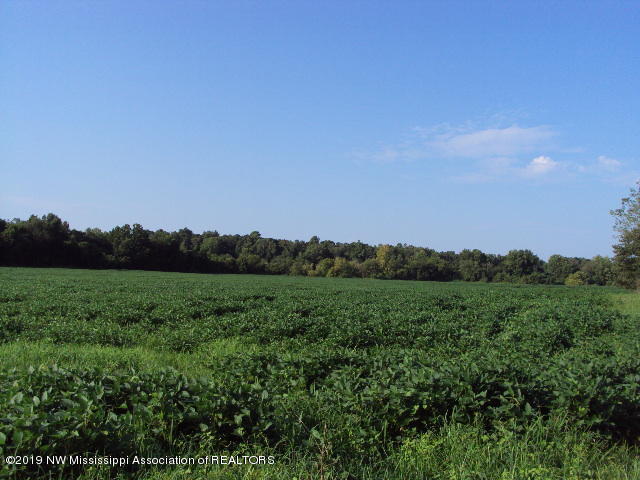 0 Baker Road Batesville, MS 38606 - Photo 2 of 13 DSC06923