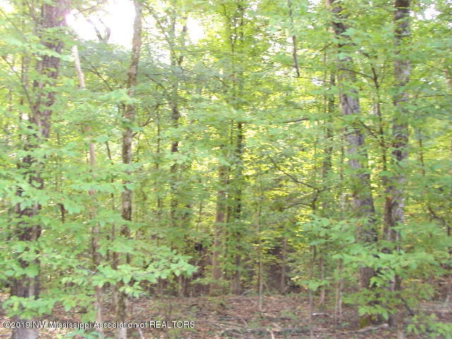 0 Baker Road Batesville, MS 38606 - Photo 3 of 13 DSC06930