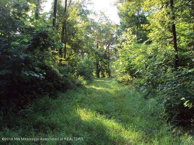 0 Baker Road Batesville, MS 38606 - Photo 4 of 13 DSC06929